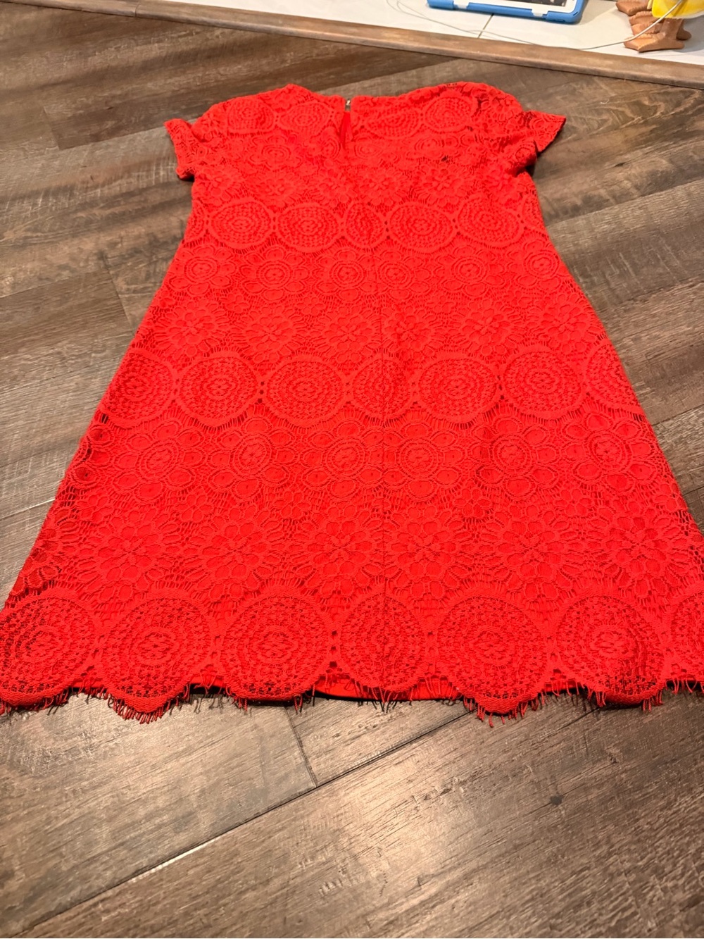 Laundry by Shelli Segal Lace Sheath Dress Size 6 Coral Red Scalloped Hem - Picture 8 of 8
